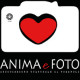 animaEFoto